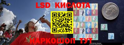 Альфа ПВП Донской